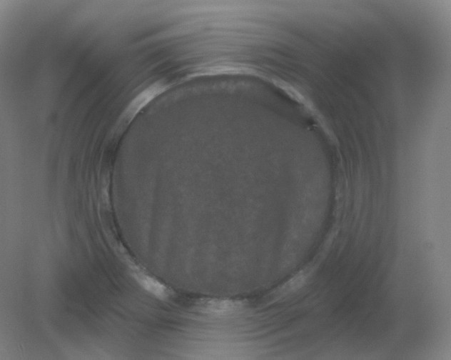 X0000082181273200702021743
