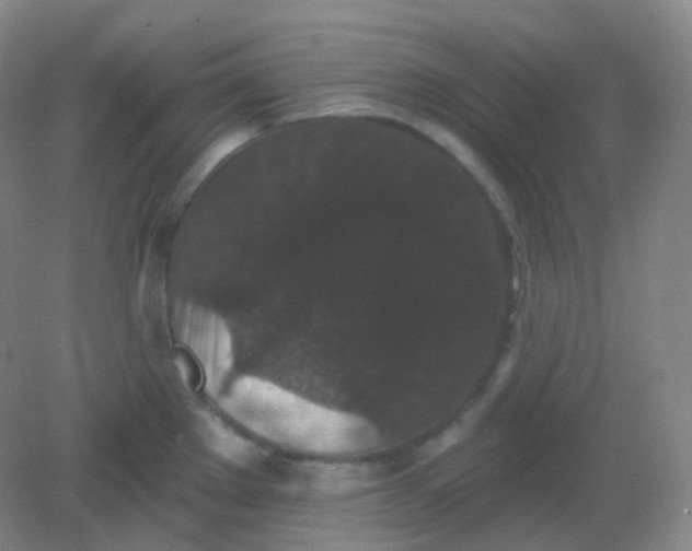 X0000082181289200702021743