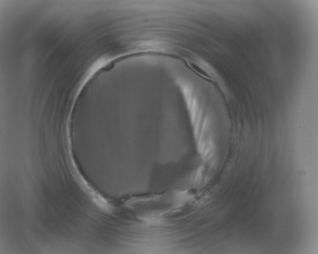 X0000082181291200702021743