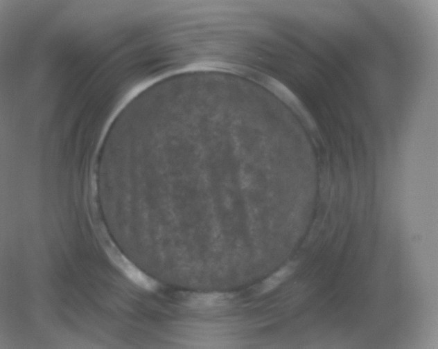 X0000082181292200702021743