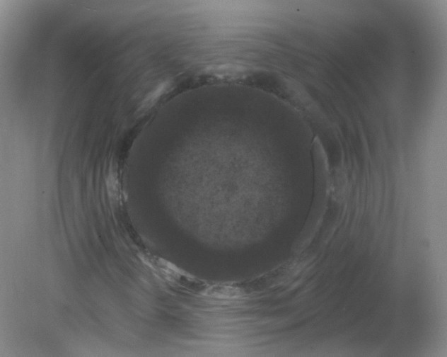 X0000082181298200702021742