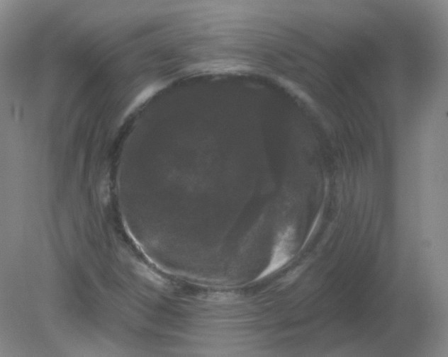 X0000082181306200702021742