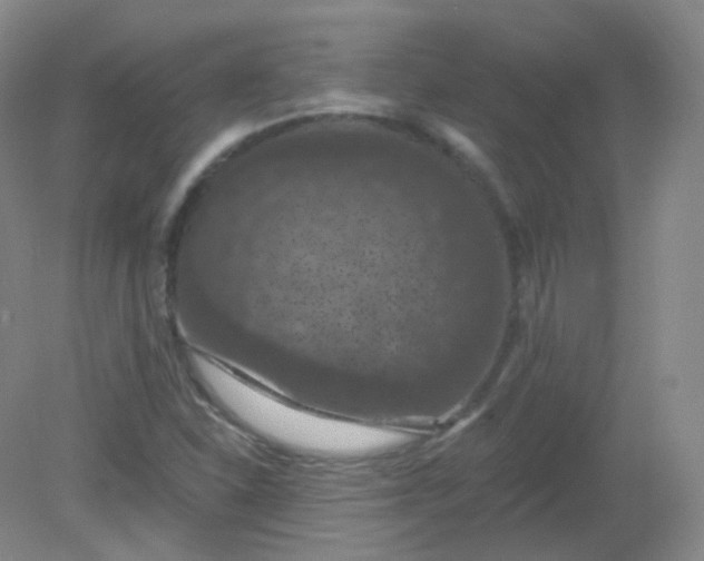 X0000082181310200702021742