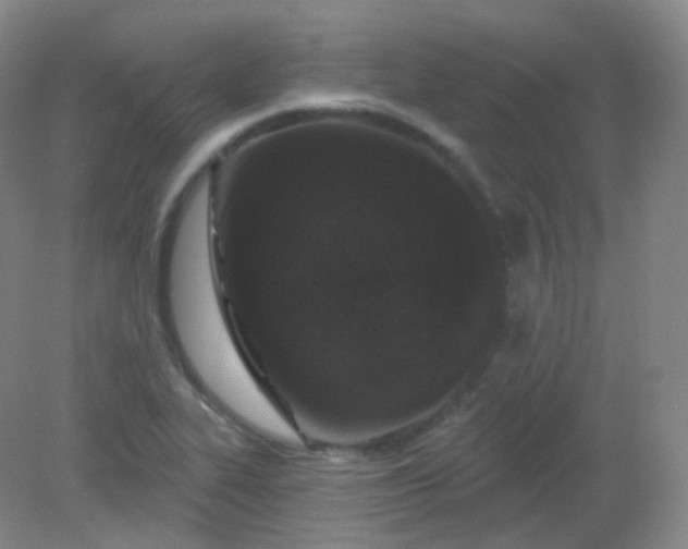 X0000082181319200702021742