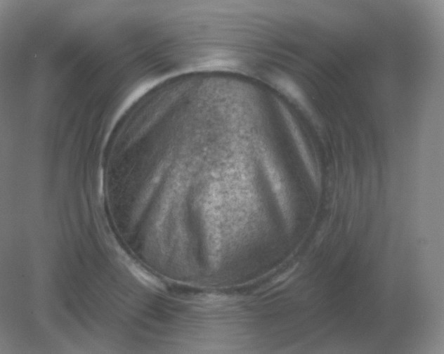 X0000082181324200702021742