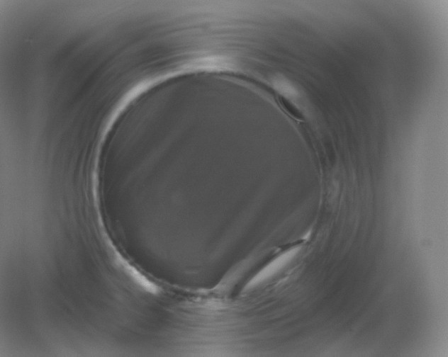 X0000082181334200702021742