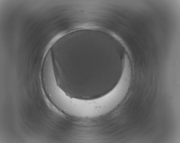 X0000082181338200702021742