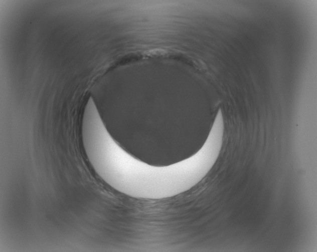 X0000082181345200702021742