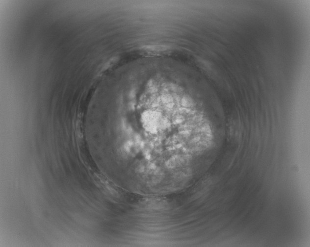 X0000082181346200702021742