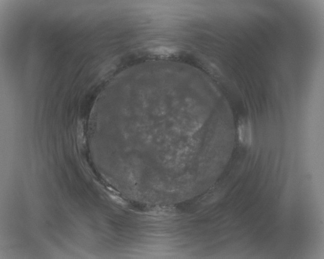 X0000082181347200702021742