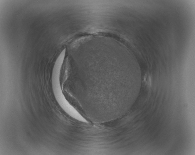 X0000082181348200702021742