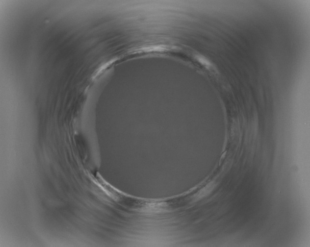 X0000082181353200702021742