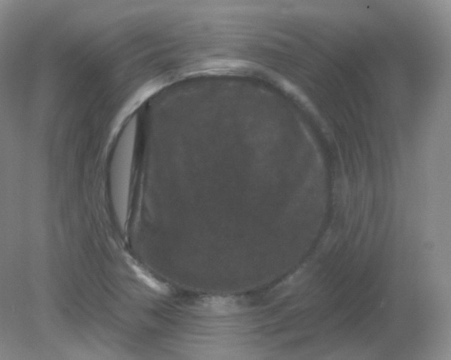 X0000082181362200702021741