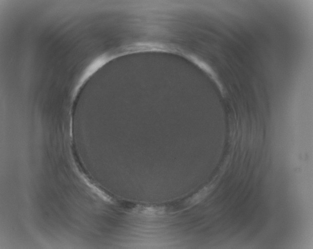 X0000082181365200702021741