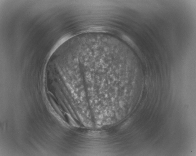 X0000082181378200702021741