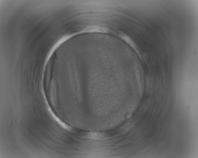 X0000082181379200702021741