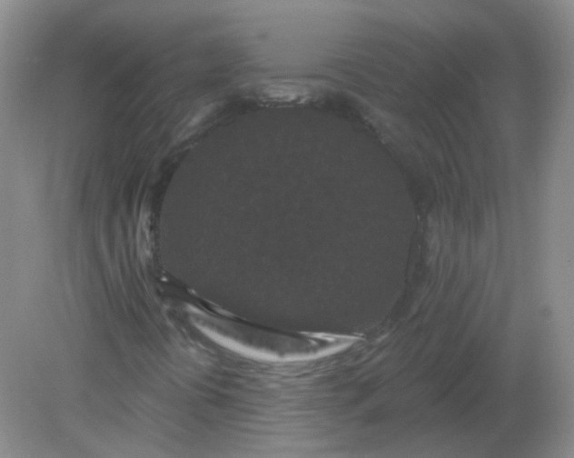 X0000082181394200702021740