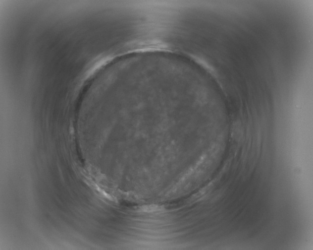 X0000082181407200702021740