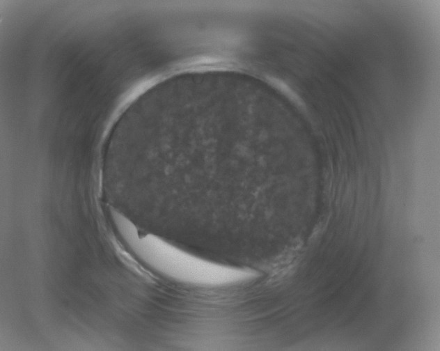 X0000082181413200702021740