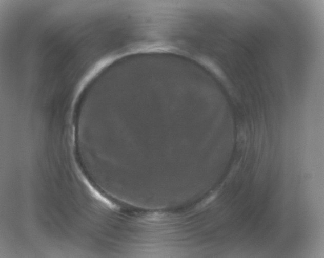 X0000082181414200702021740