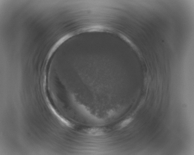 X0000082181418200702021741