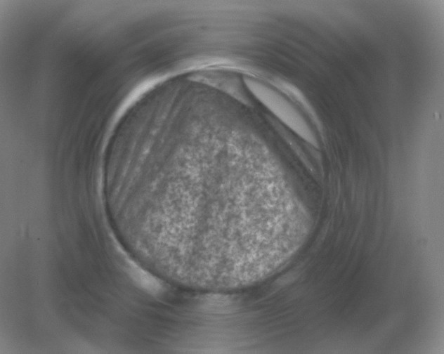 X0000082181424200702021741