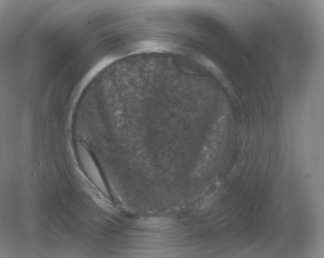 X0000082181427200702021741