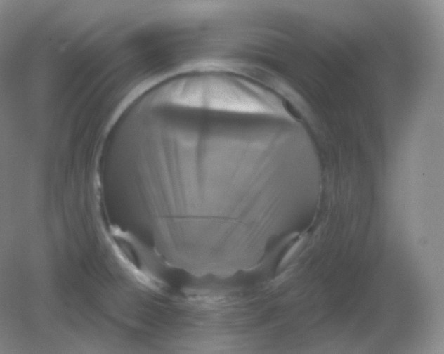 X0000082181428200702021741