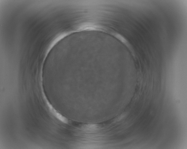 X0000082181431200702021741