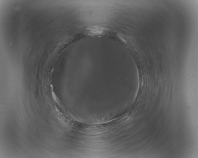 X0000082181441200702021740
