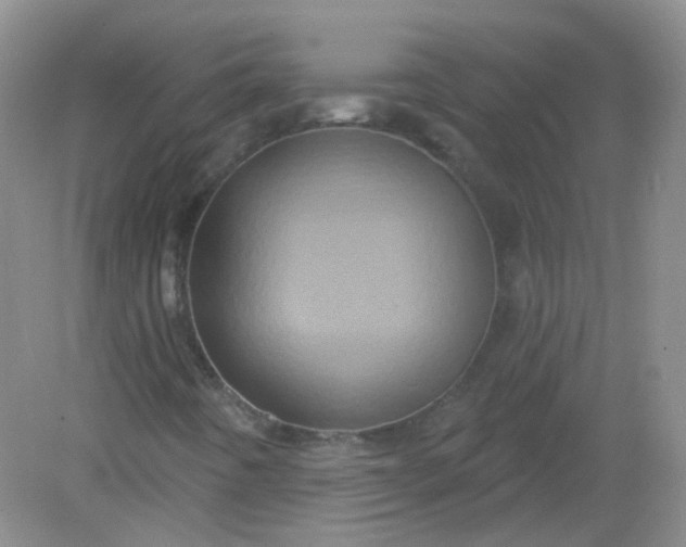 X0000082181442200702021740