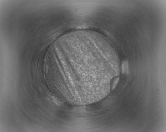 X0000082181444200702021740