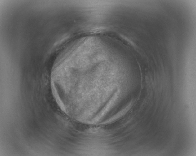 X0000082181447200702021740