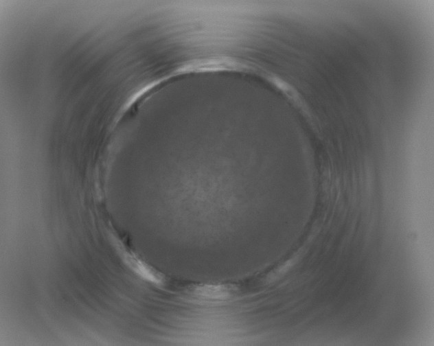 X0000082181457200702021740