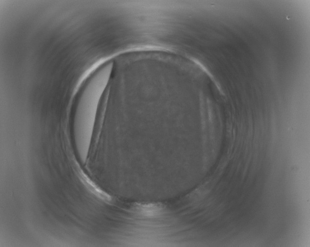 X0000082181460200702021740