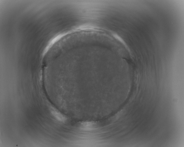 X0000082181461200702021740