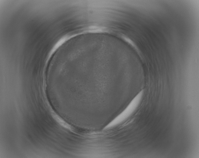 X0000082181467200702021740