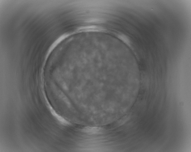 X0000082181474200702021740