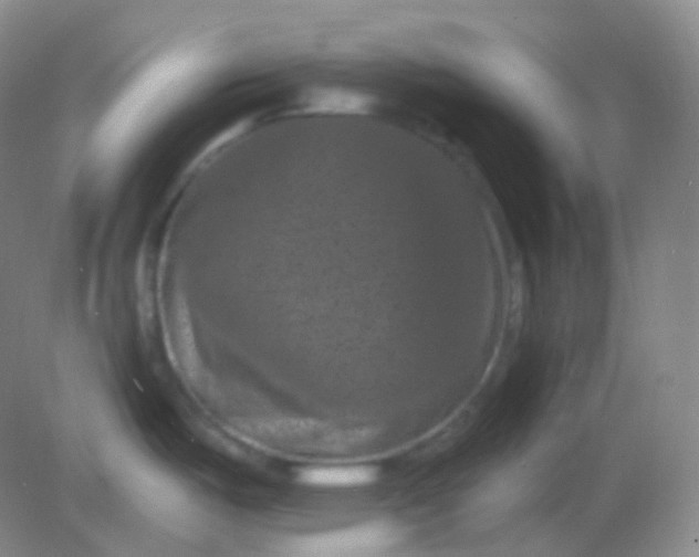 X0000082181487200702021739