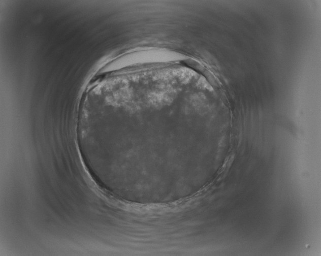 X0000082180003200702092321