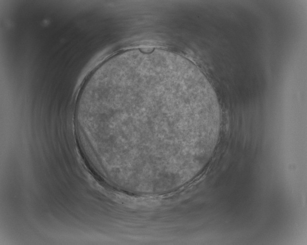 X0000082180004200702092321