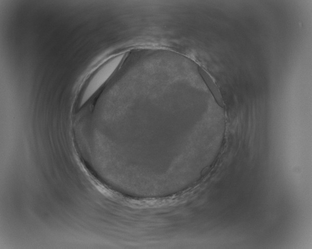 X0000082180005200702092321