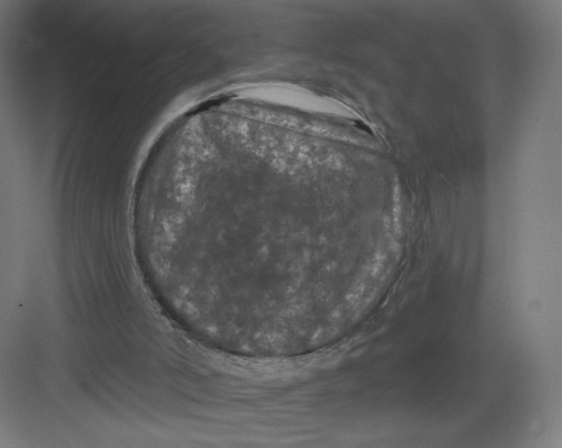 X0000082180006200702092321
