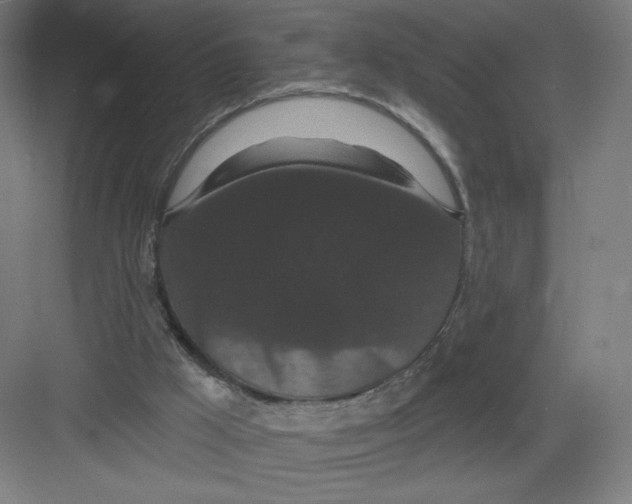X0000082180009200702092321