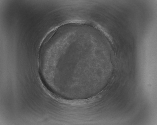X0000082180011200702092321