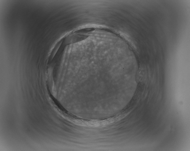 X0000082180015200702092321