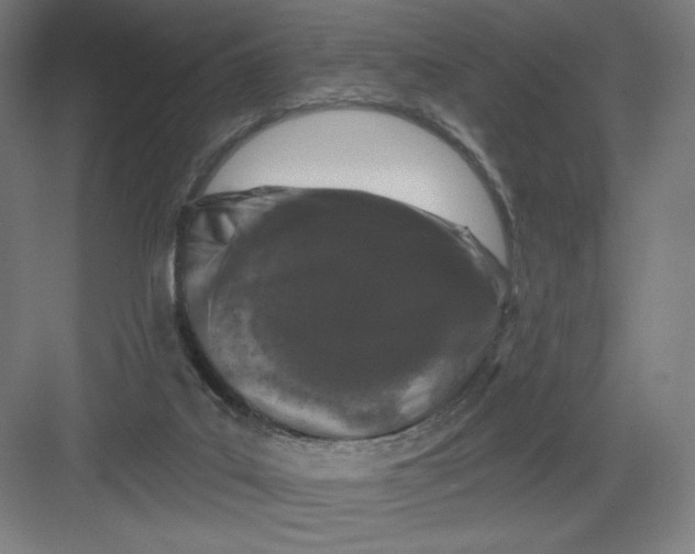 X0000082180019200702092321