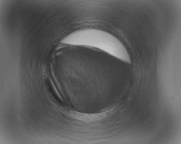 X0000082180031200702092321