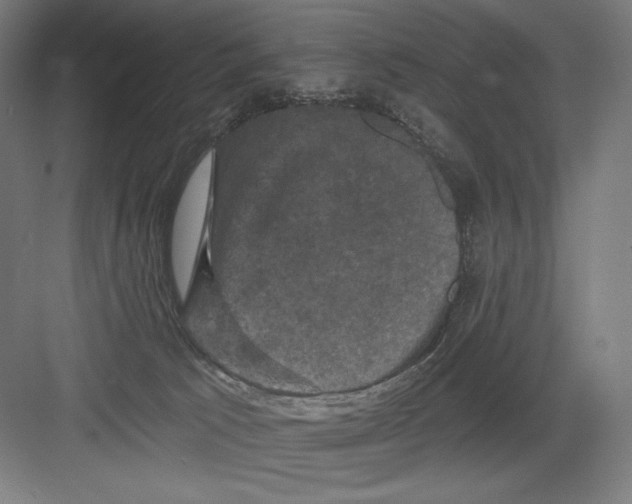 X0000082180033200702092321