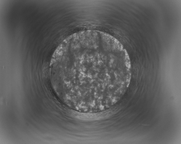 X0000082180034200702092321